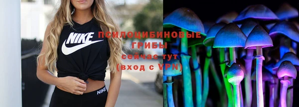 бутират Няндома