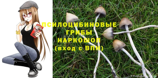 apvp Нязепетровск