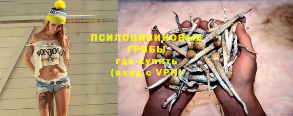 apvp Нязепетровск
