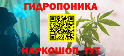 ПСИЛОЦИБИНОВЫЕ ГРИБЫ Дубна