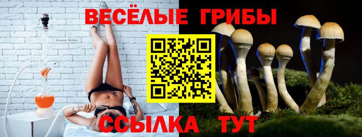 Подольск  Псилоцибиновые грибы GOLDEN TEACHER  Галлюциногенные грибы Cubensis  где найти   Вход с VPN 